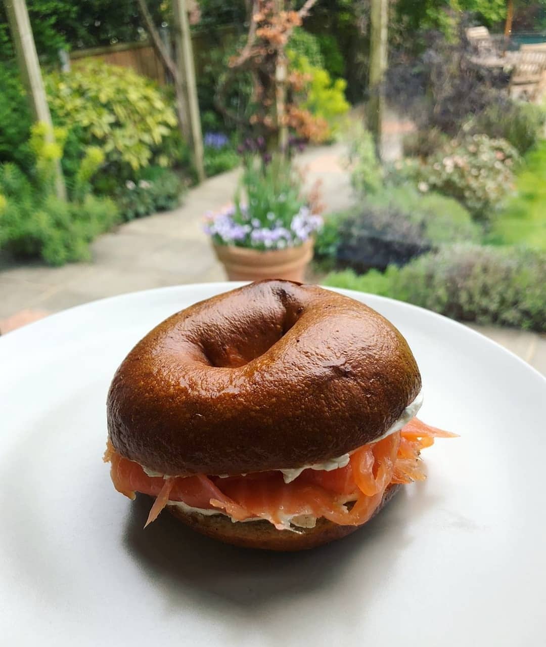 A plain bagel containing cream cheese and fresh smoked salmon.