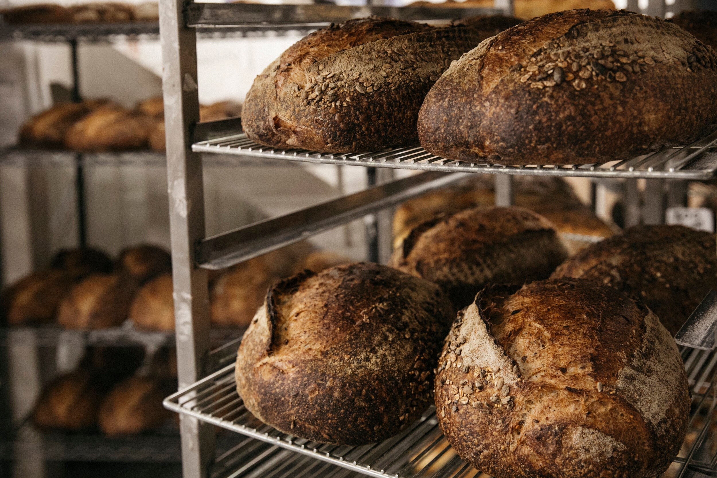 Image of fresh sourdough bread cooling on wire racks