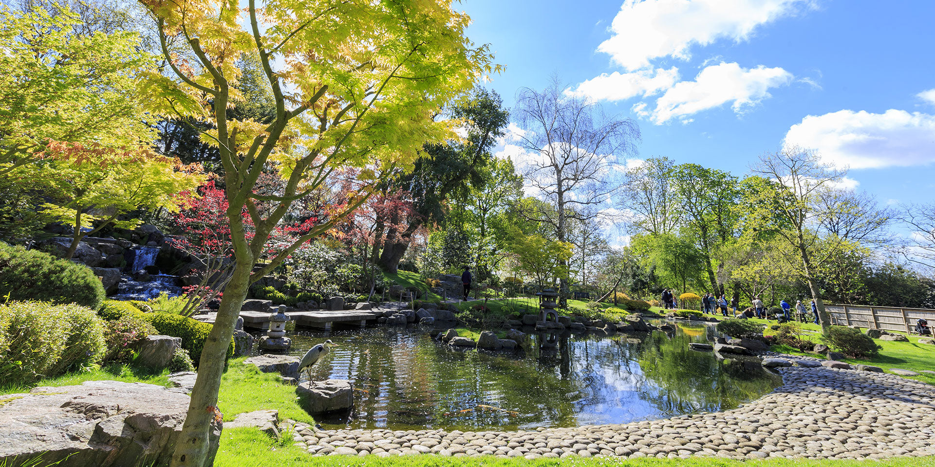 Image of Holland Park, Central London