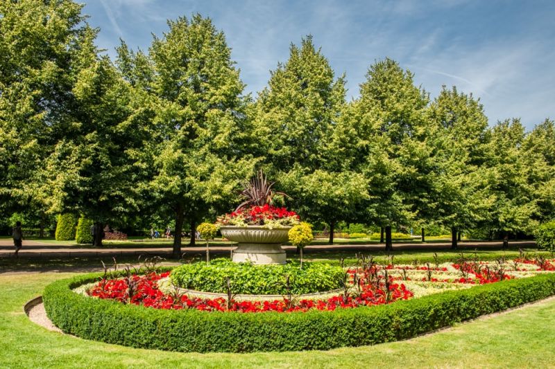 Flower Bed on Sunny Day in Regent's Park, London