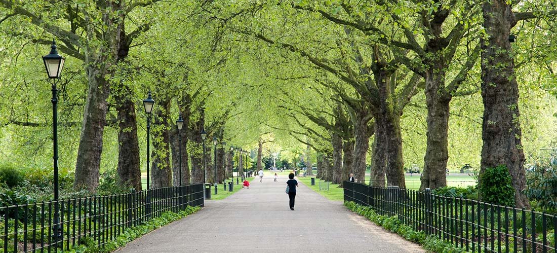 Image of the trees and walkway in Battersea Park, London during the summer.