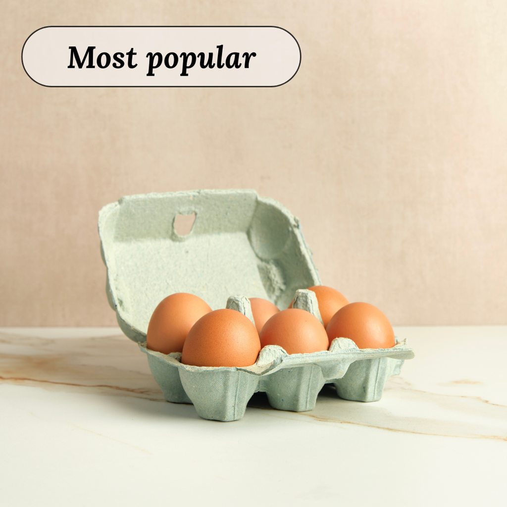 Six Large Farm Eggs