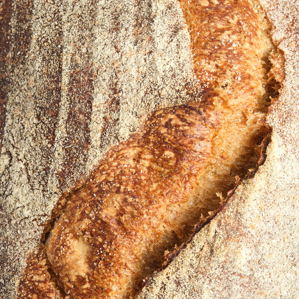 Close-up of a loaf of sourdough bread with a crusty exterior and a textured surface.