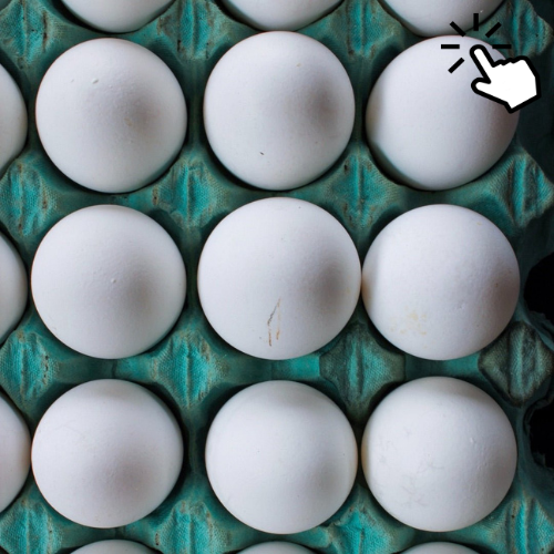 Fresh Farm Eggs (Large)